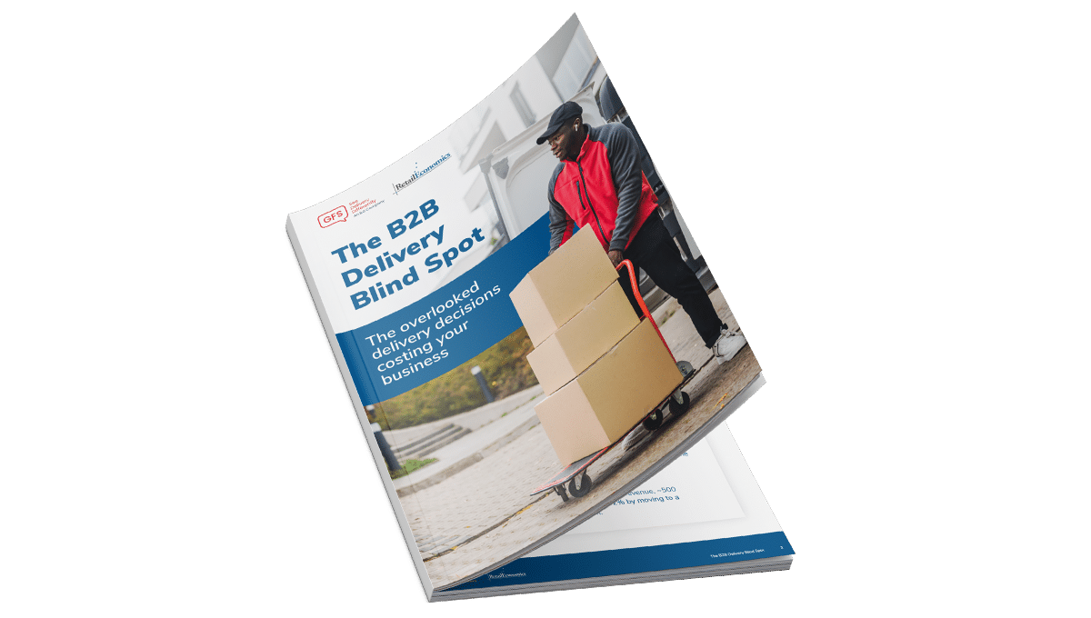 The B2B Delivery Blind Spot Brochure mock up